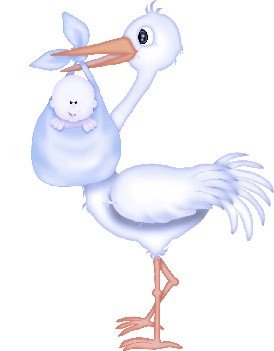 Stork Carrying Baby Bundle Illustration