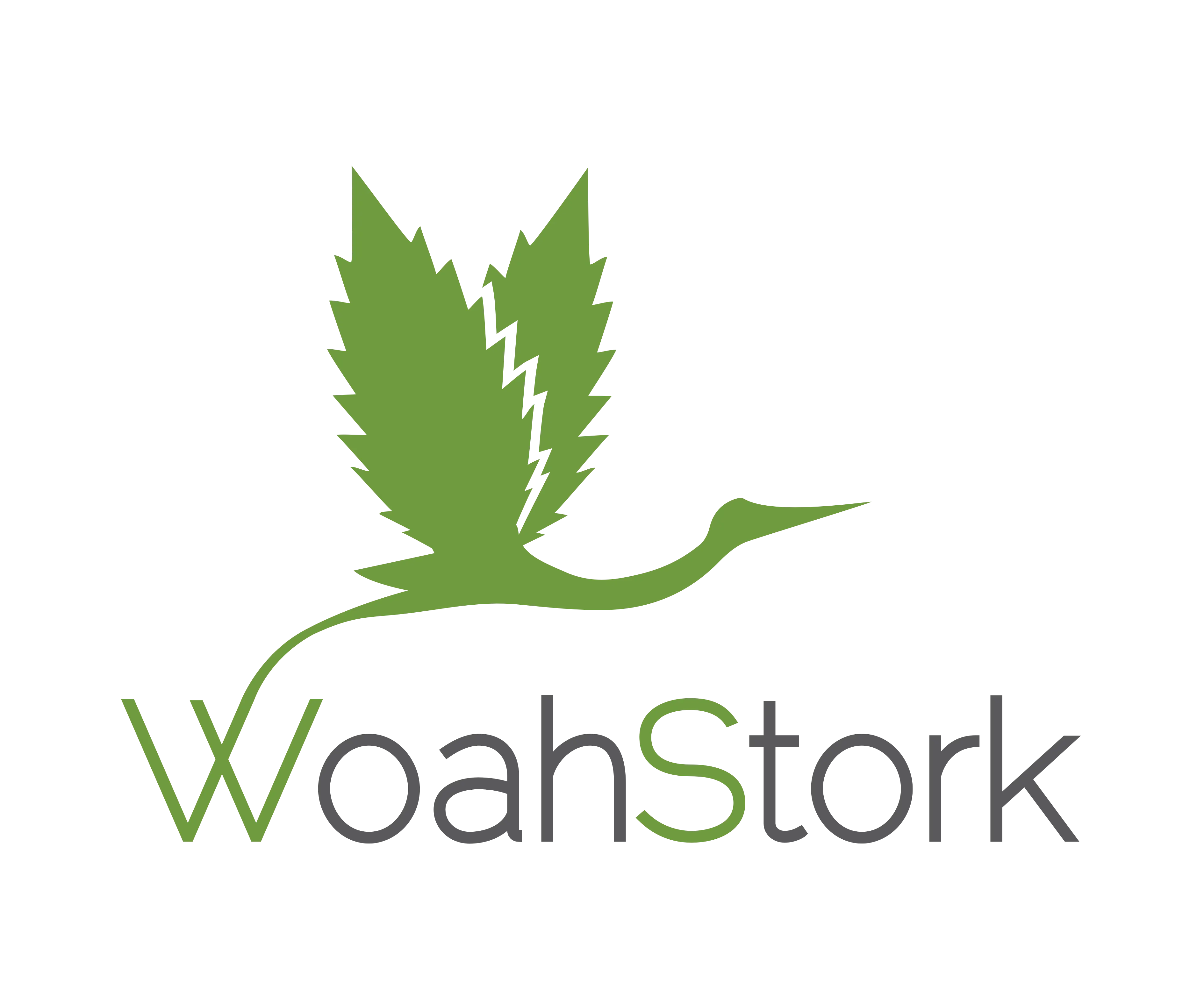 WoahStork Company Logo