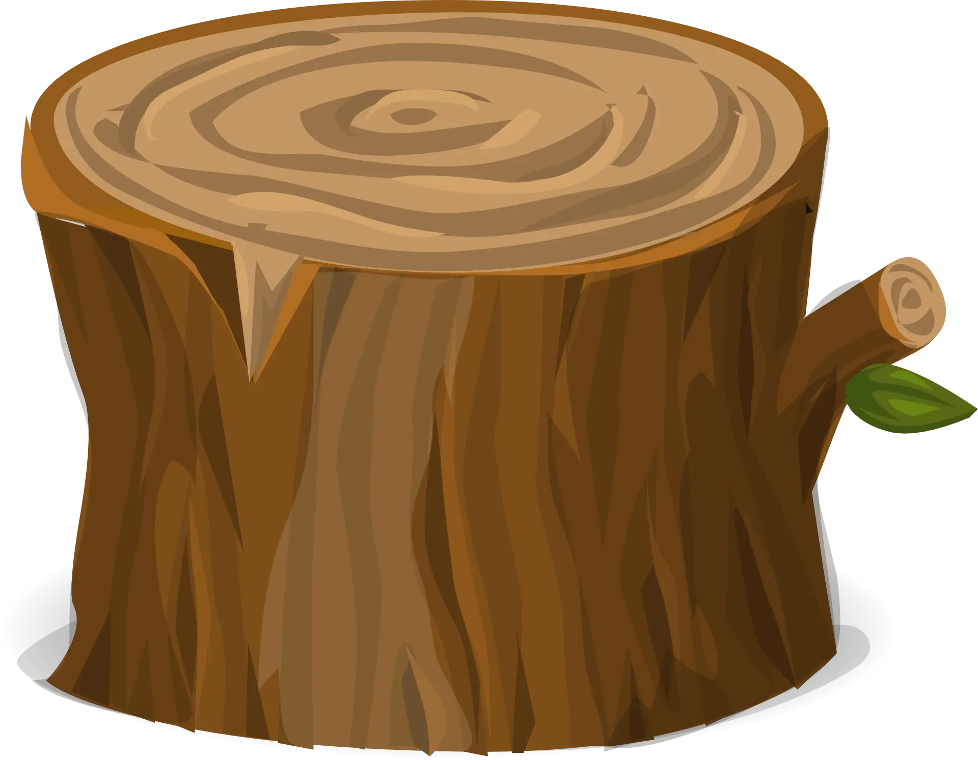 Tree Stump with a Small Branch