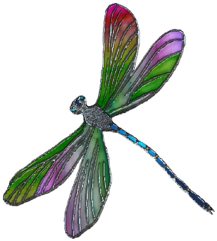 Colorful Dragonfly Illustration