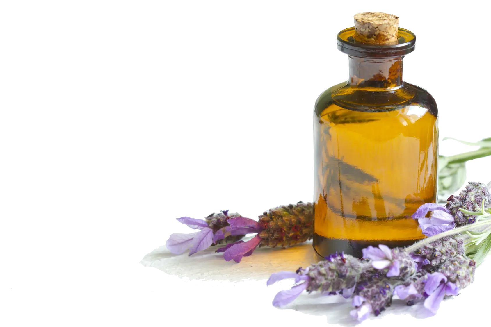Essential oil bottle with lavender flowers