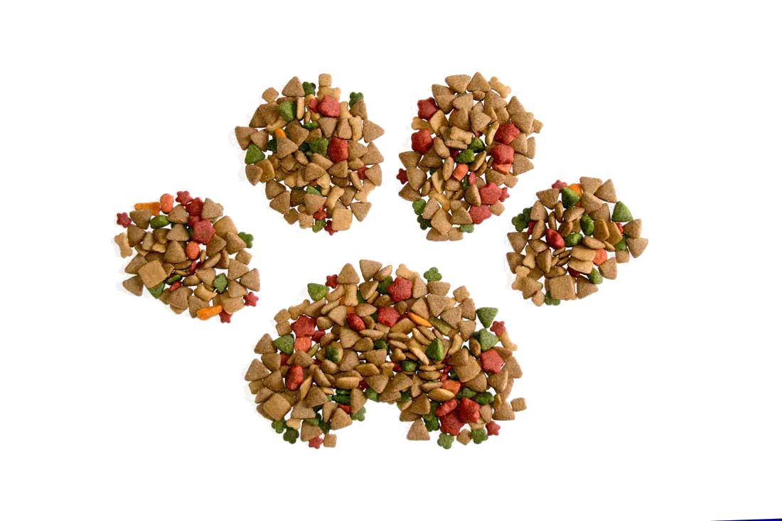 Dog Food in Paw Shape