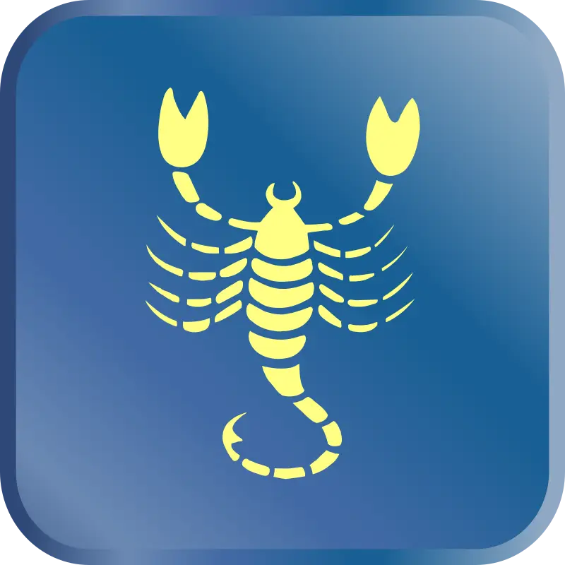 Yellow Scorpion on Blue Background