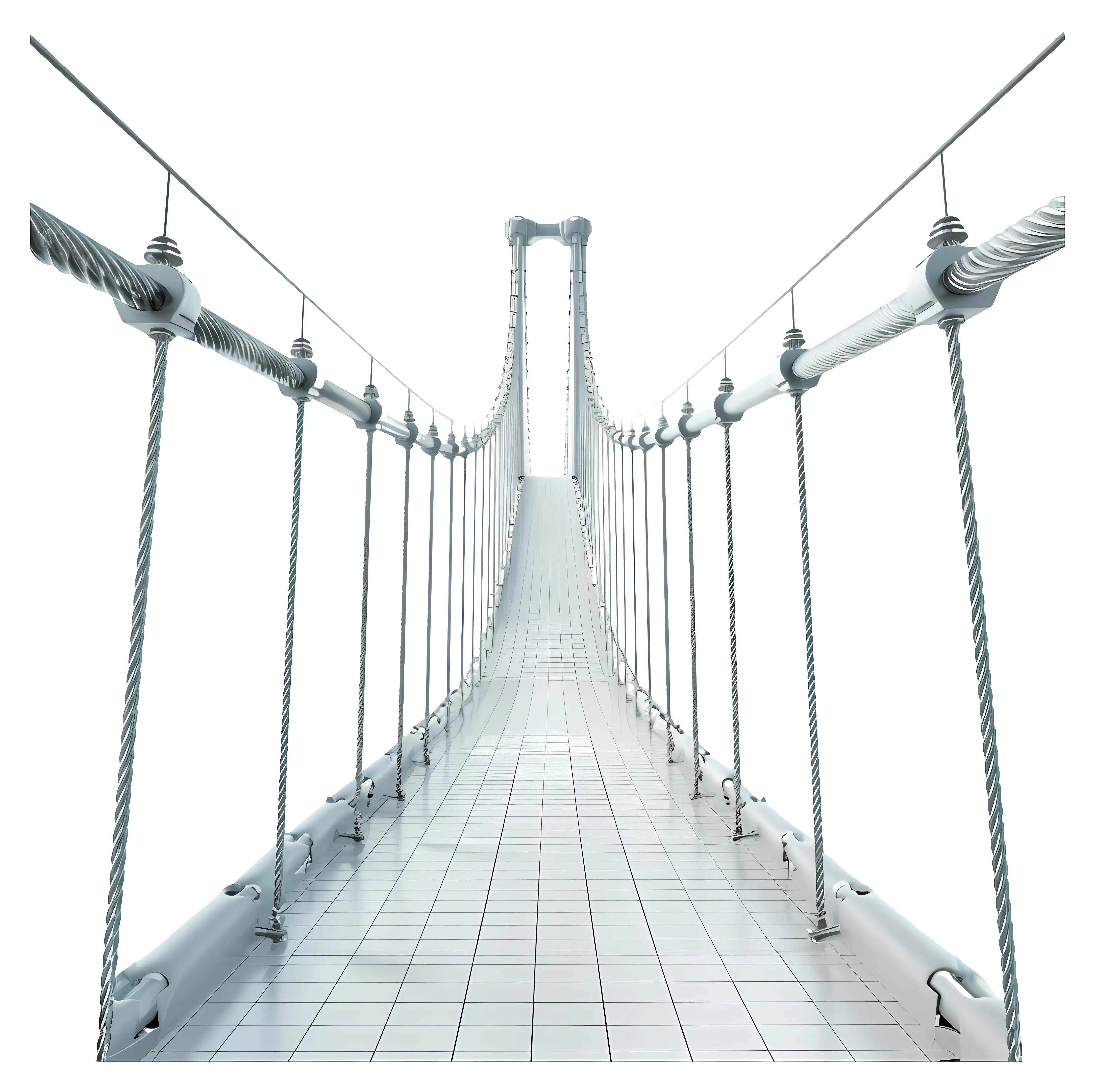 Suspension Bridge with Rope Walkway