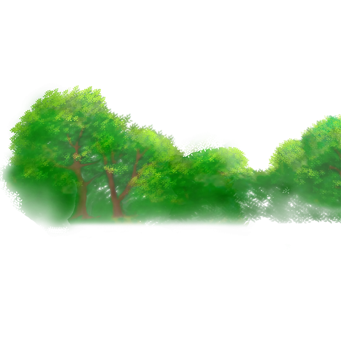 Lush Green Trees