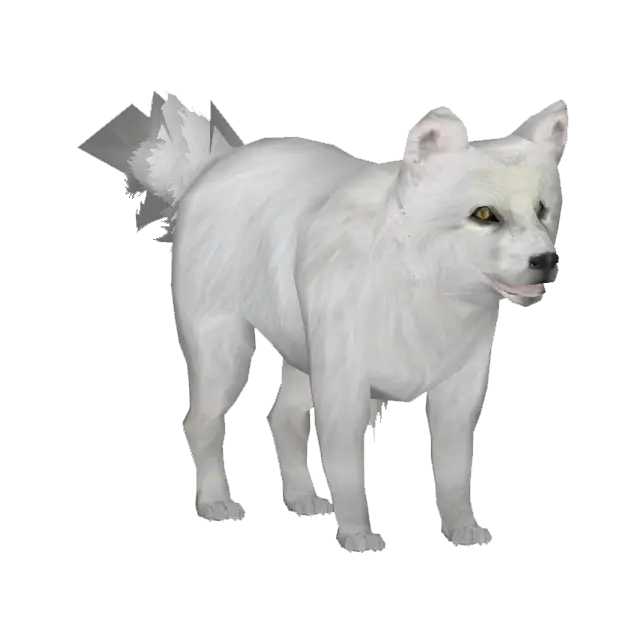 Realistic White Wolf