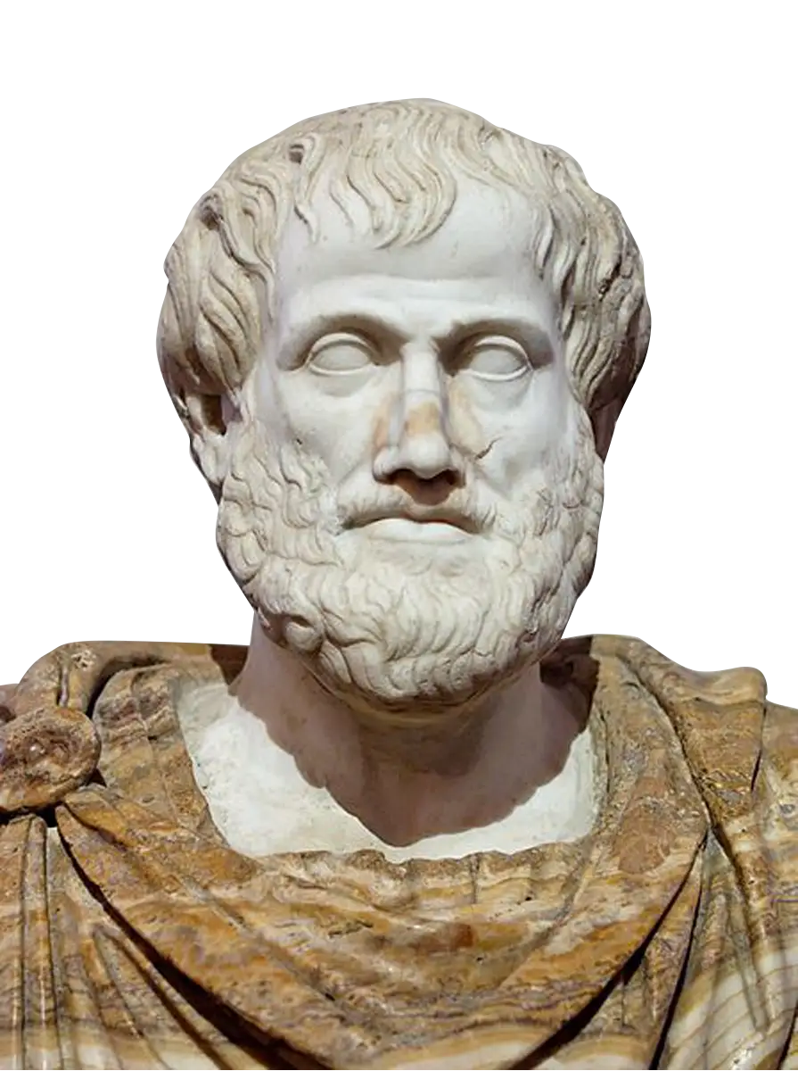 Ancient Marble Statue Bust