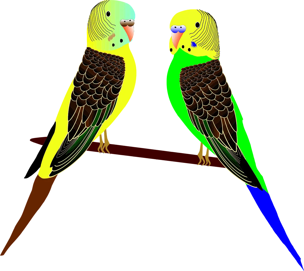 Colorful Parrots Perched
