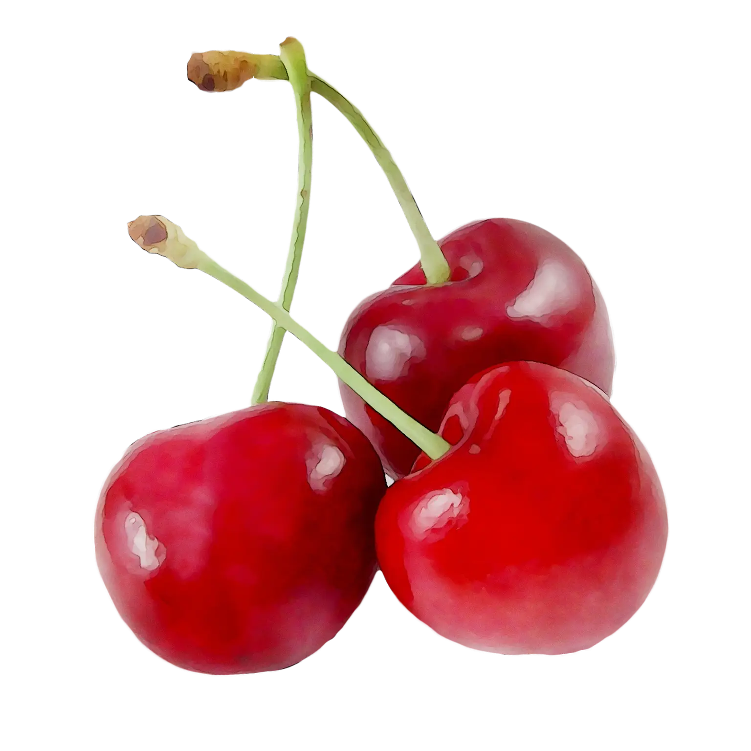 Bunch of Ripe Red Cherries