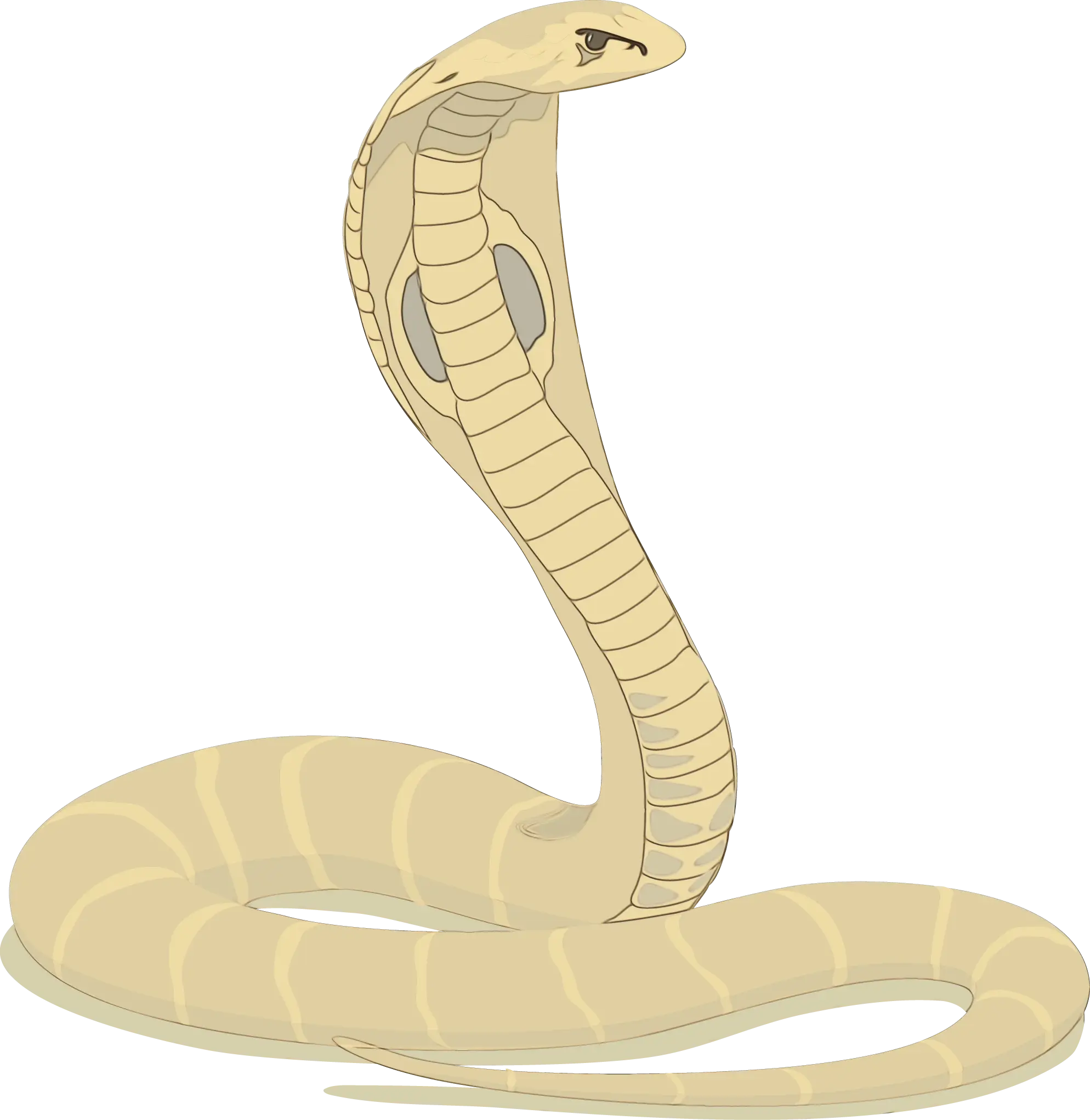 Cartoon Illustration of a Cobra Snake