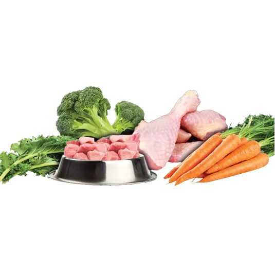 Fresh Raw Food Ingredients