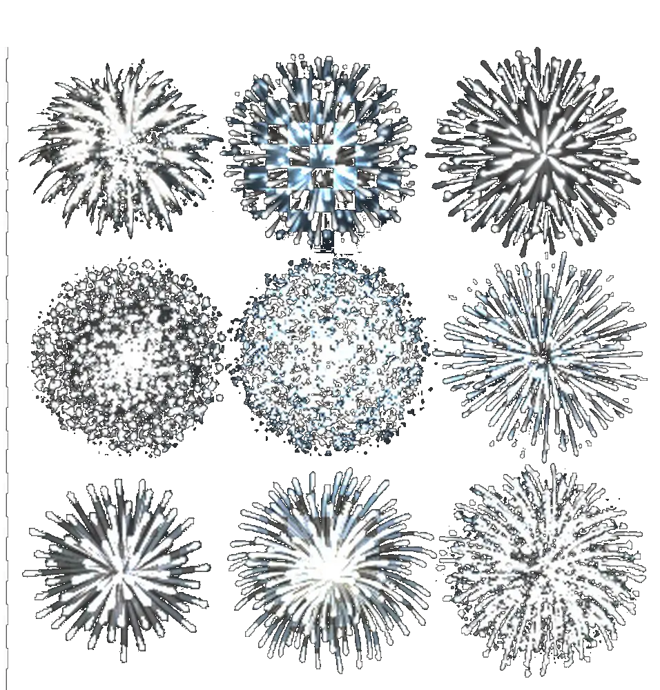 Firework illustrations