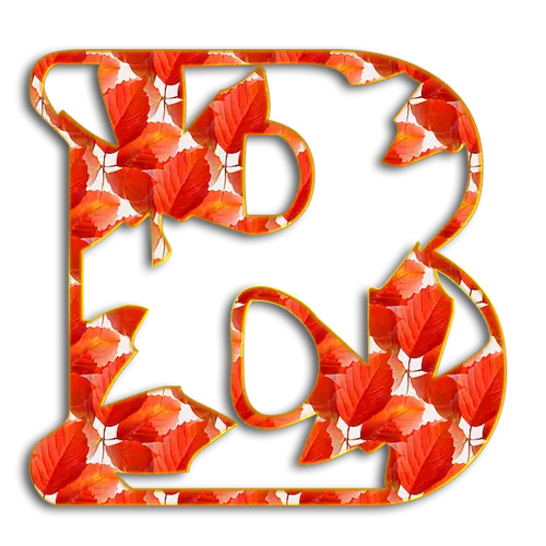 Autumn Leaves Letter B Decoration