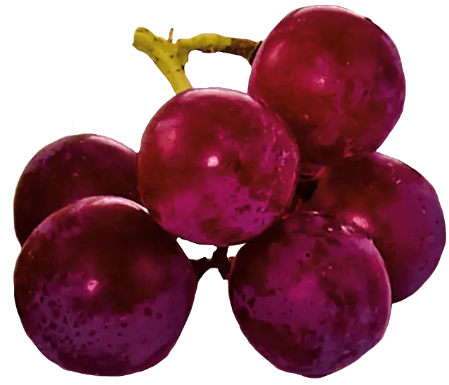 Purple Grapes Bunch with Stem
