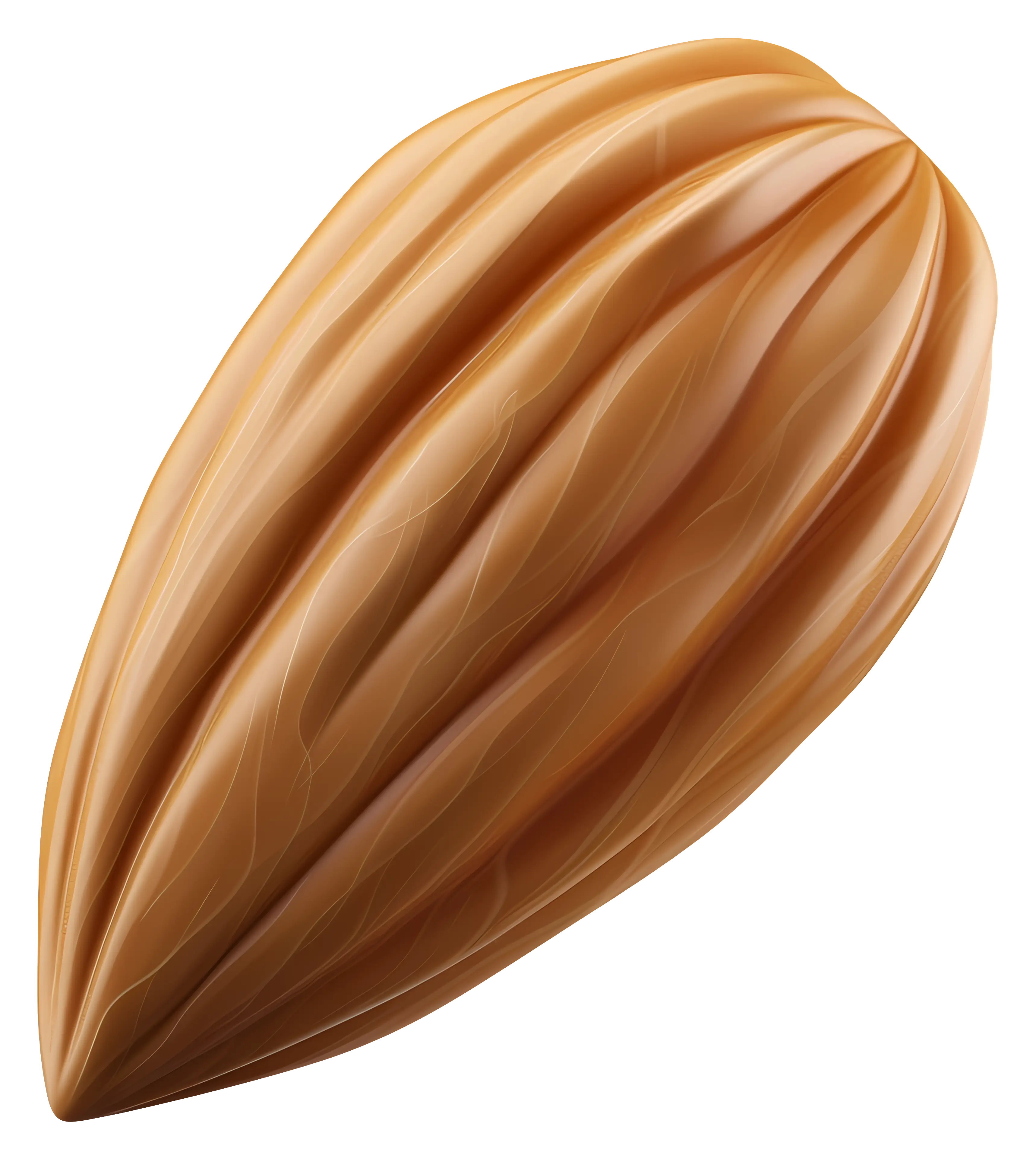 Close-up of an Almond Seed