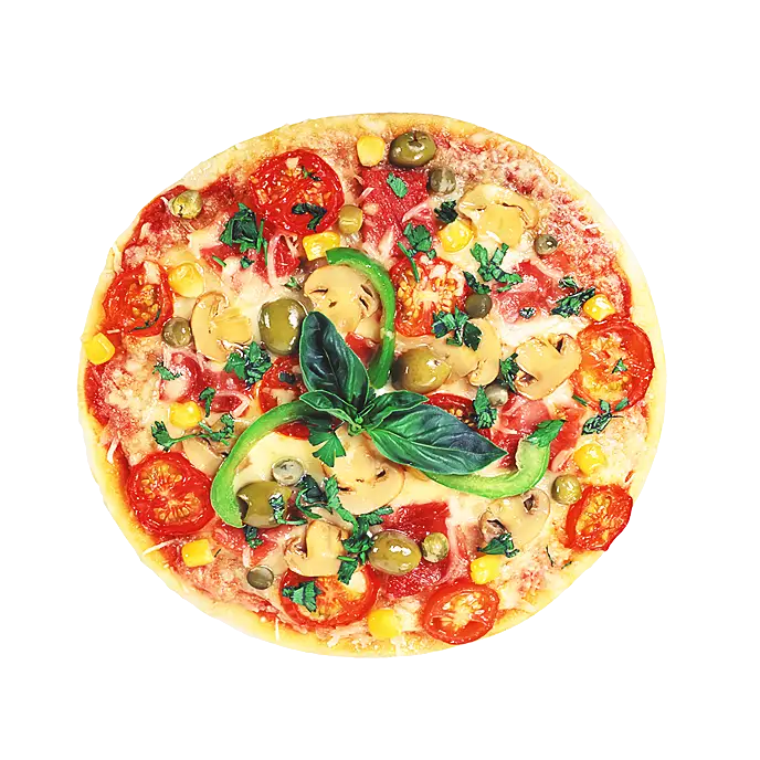 Vegetable Pizza with Cheese