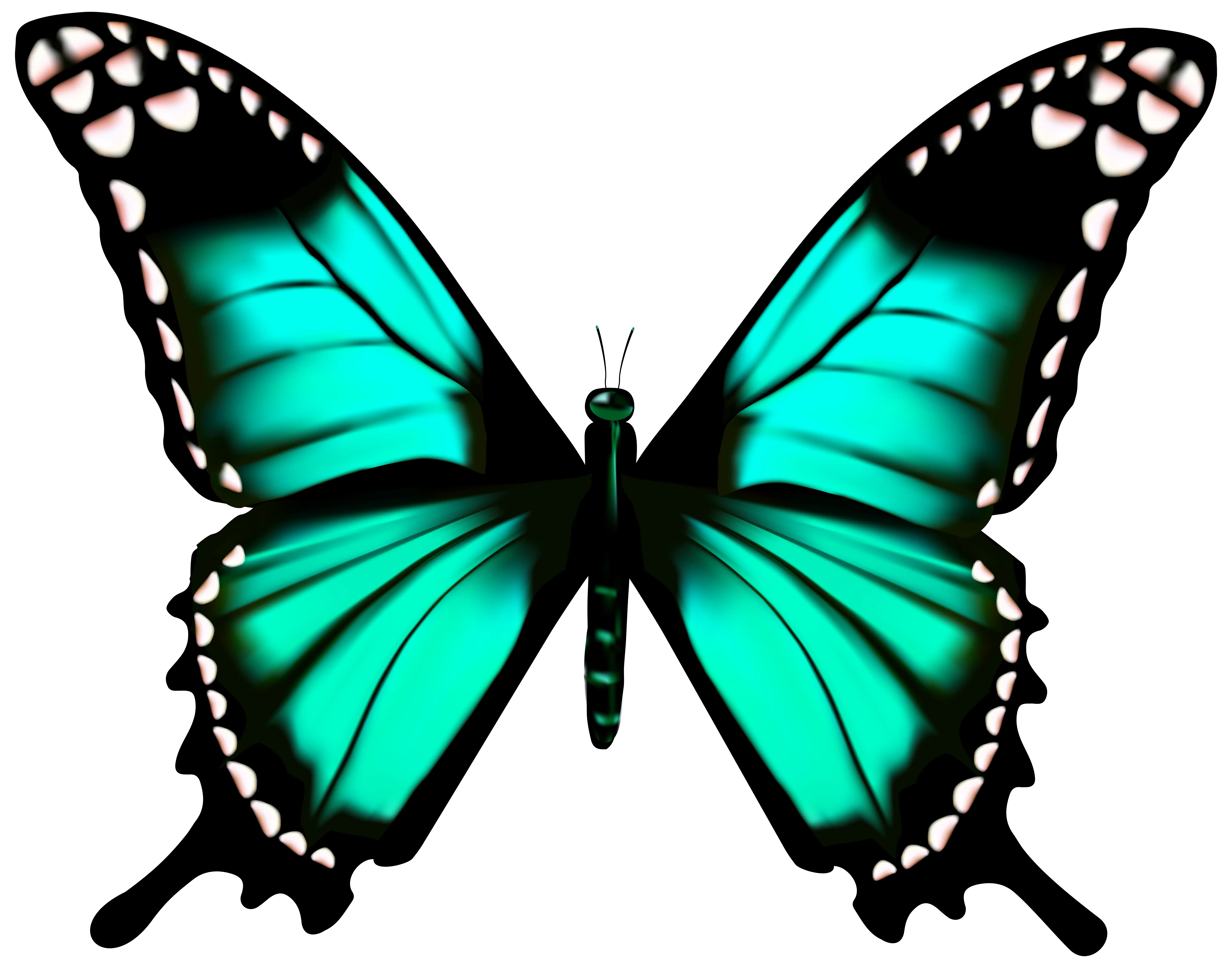 Blue Butterfly with Detailed Wings