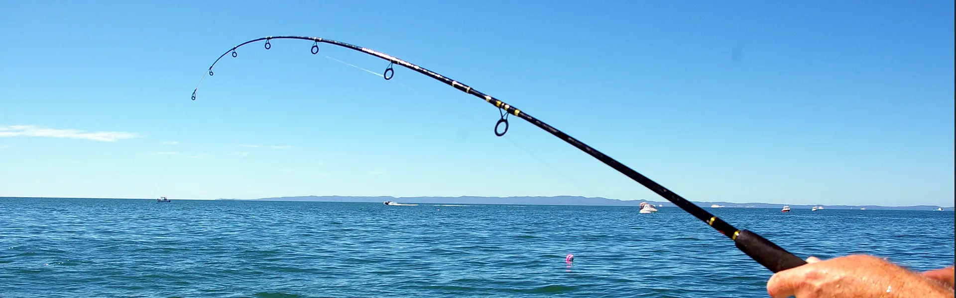 Fishing Rod in Action