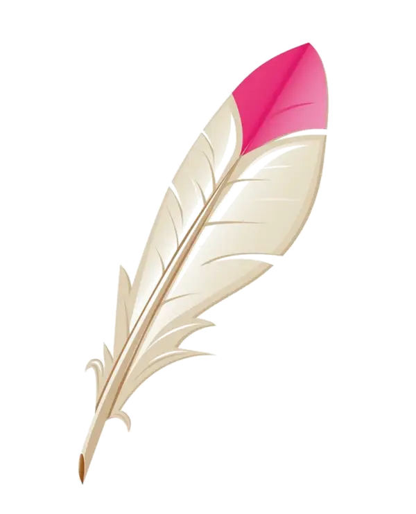 Pink Tipped Feather Design