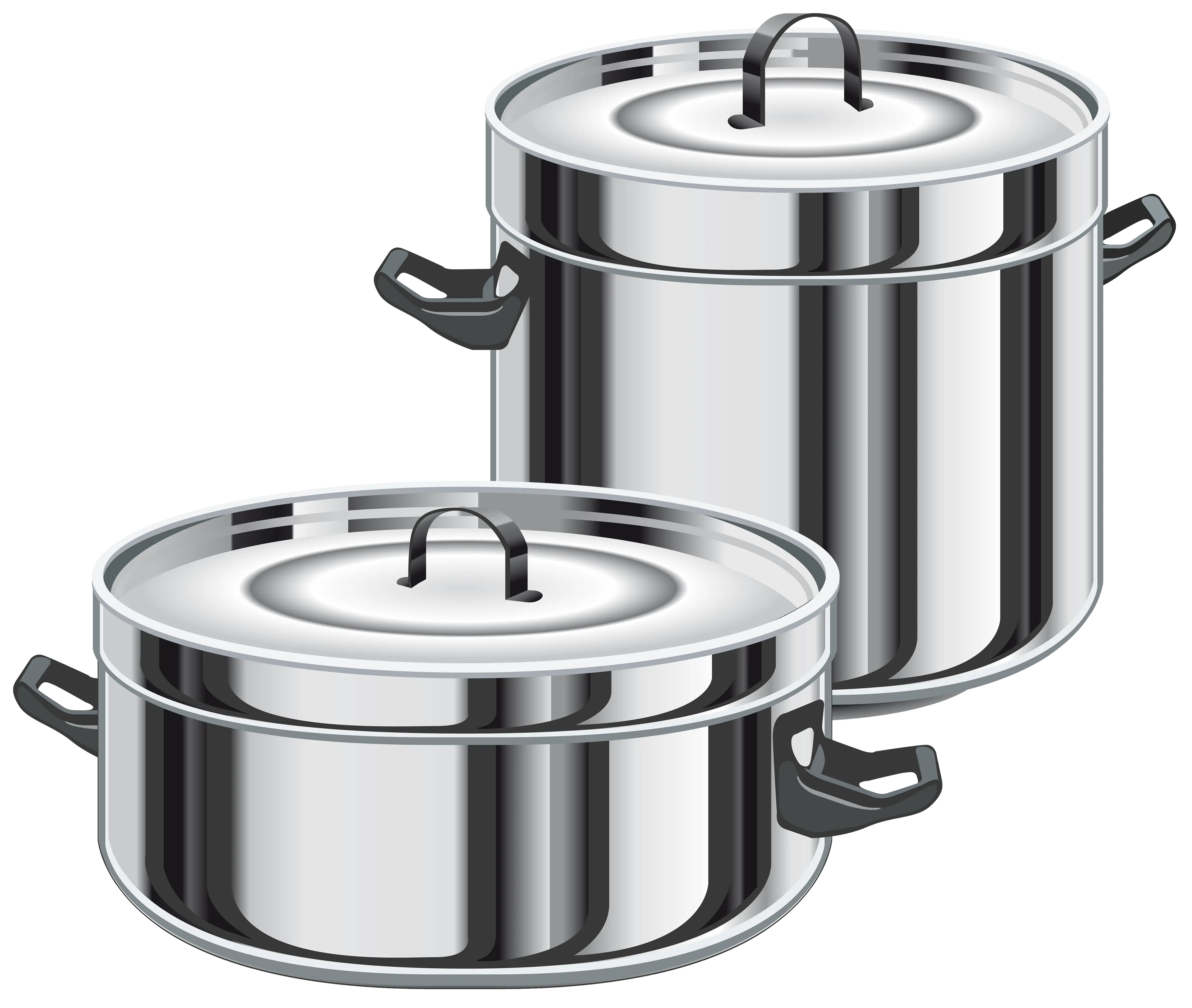 Stainless Steel Cooking Pots