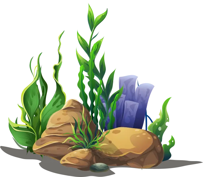 Underwater Plants and Rocks Illustration
