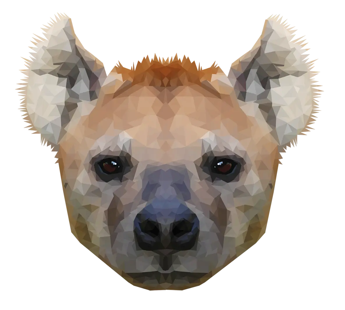 Polygonal Hyena Face