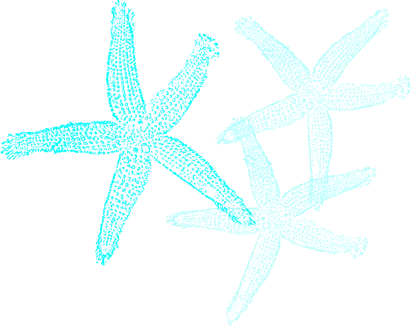 Blue Starfish Illustration
