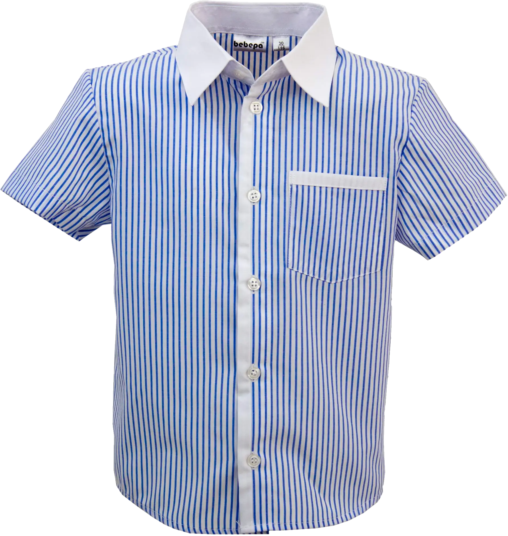 Blue and White Striped Shirt