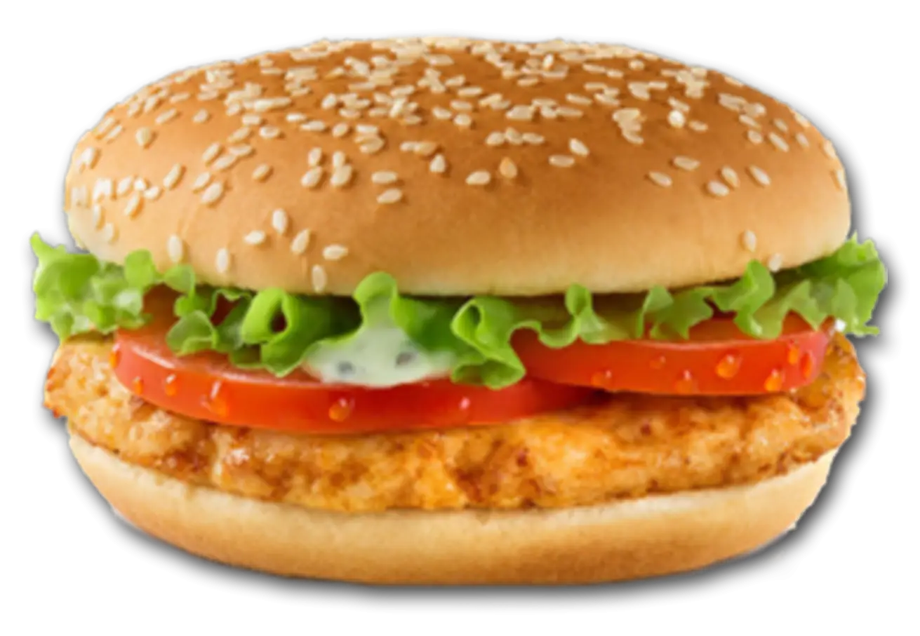 Tasty Chicken Sandwich with Fresh Vegetables