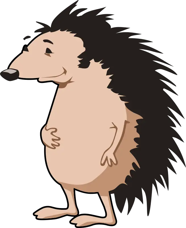 Cute Cartoon Hedgehog