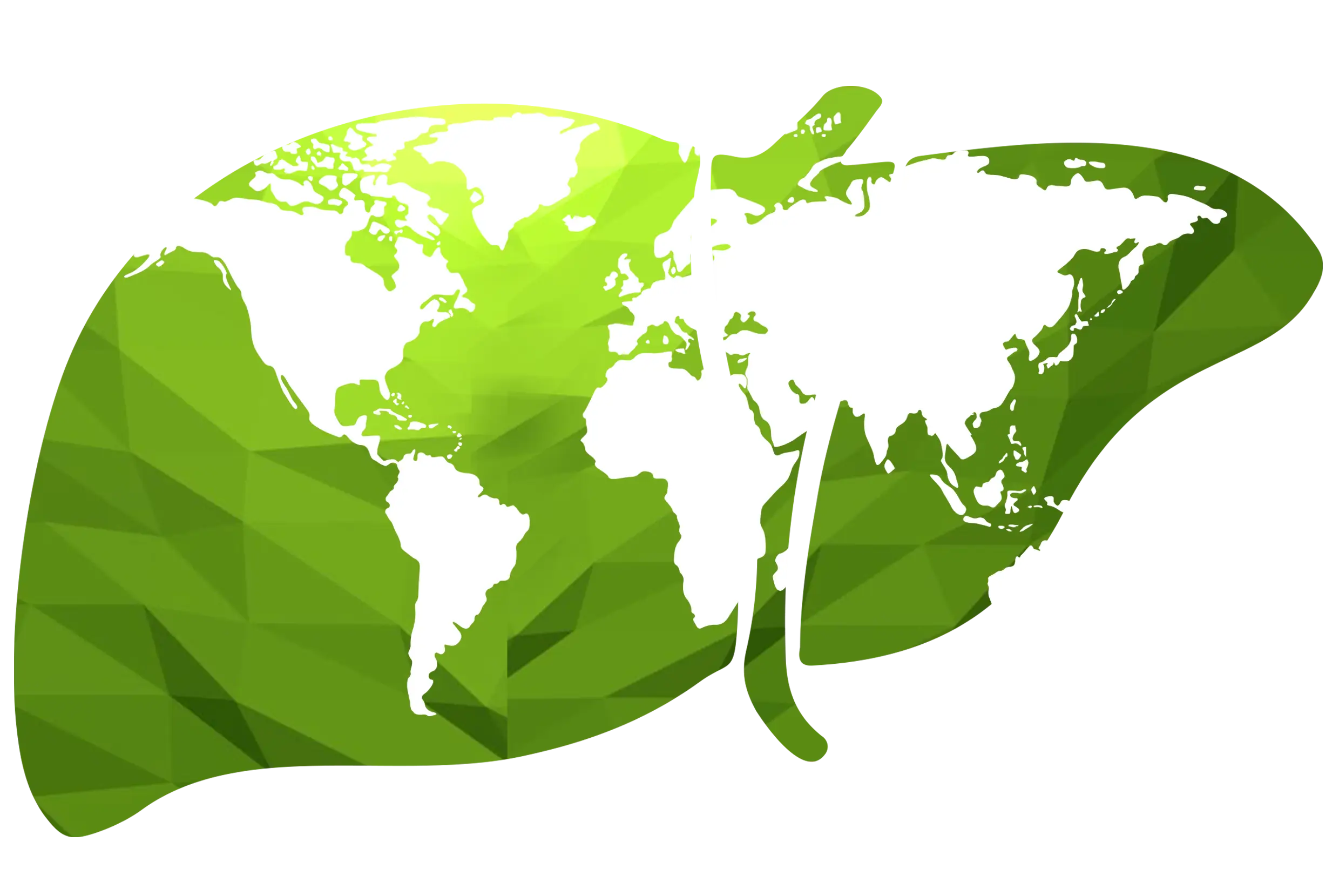 Green World Map Illustration