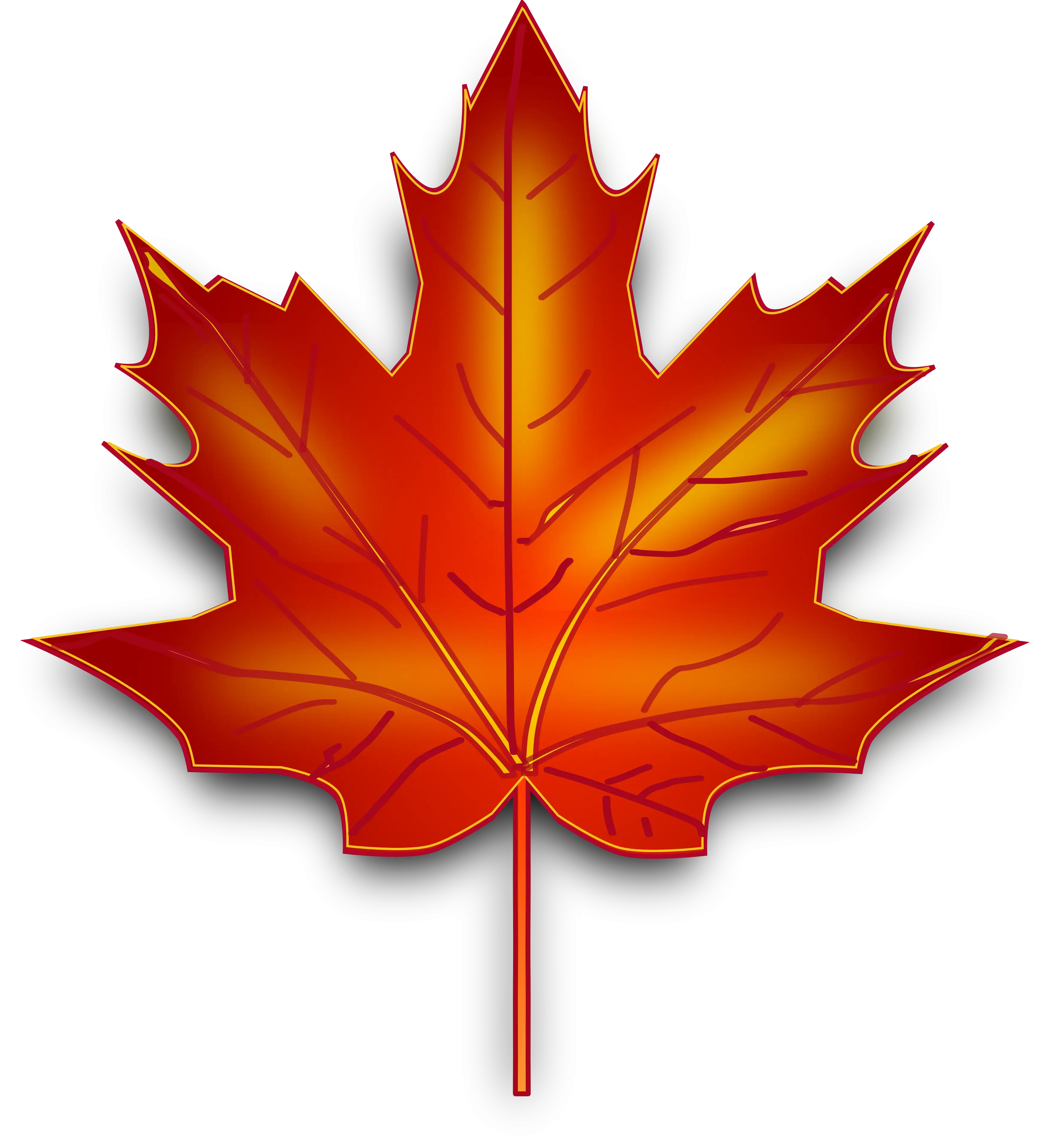 Orange Maple Leaf Illustration