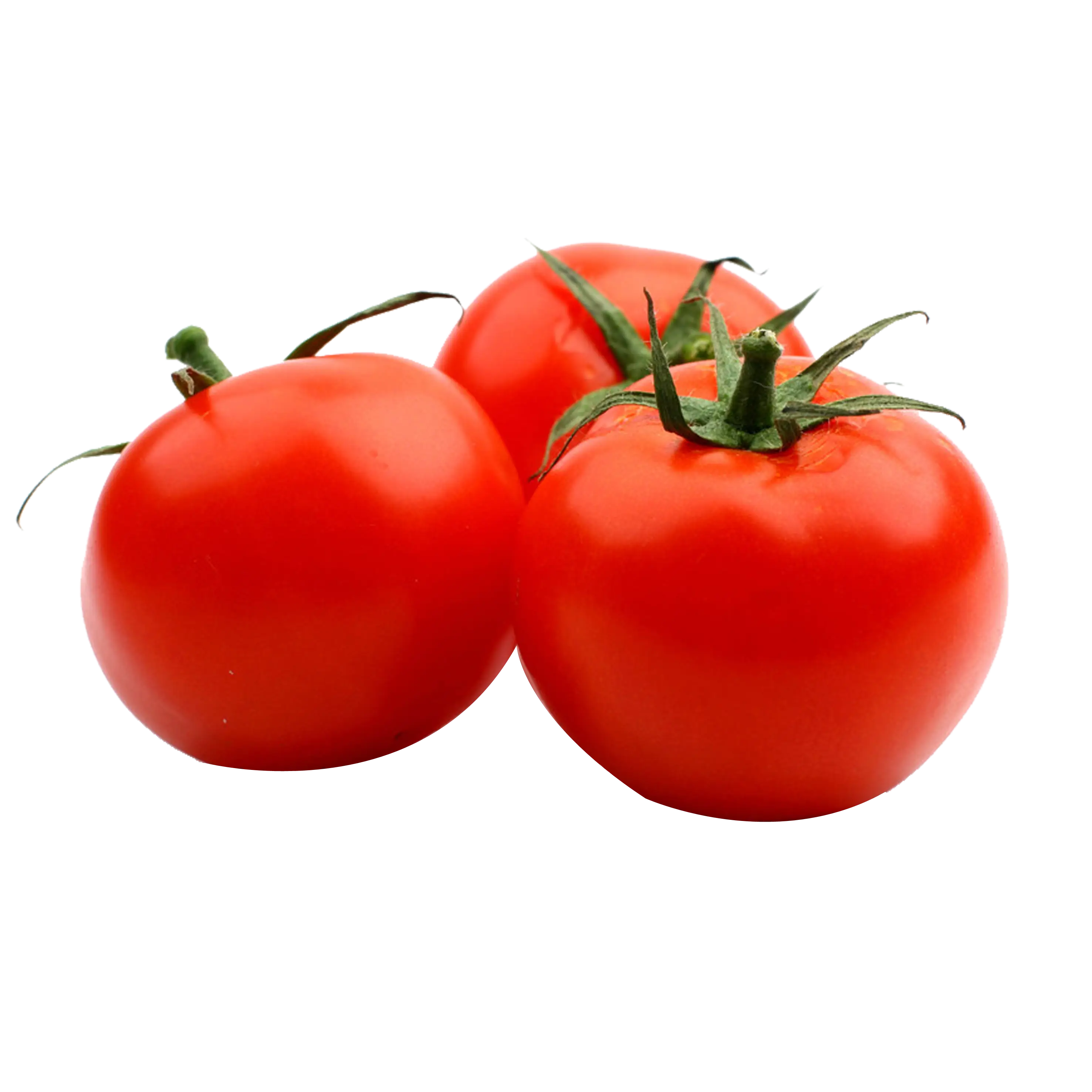 Fresh Red Tomatoes with Green Stems