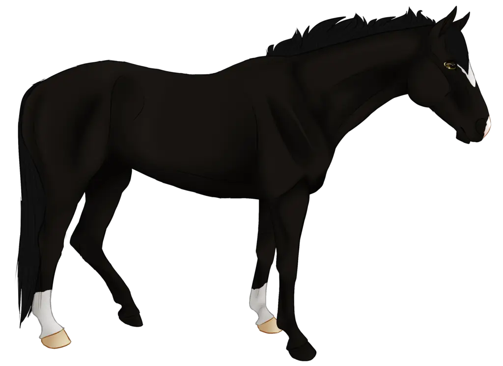Black Horse Illustration with Graceful Pose