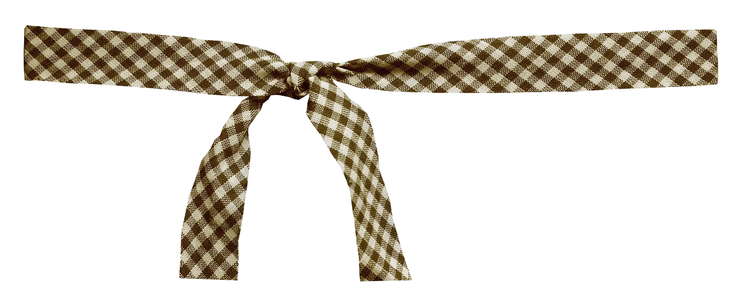 Brown Gingham Bow Fashion Accessory
