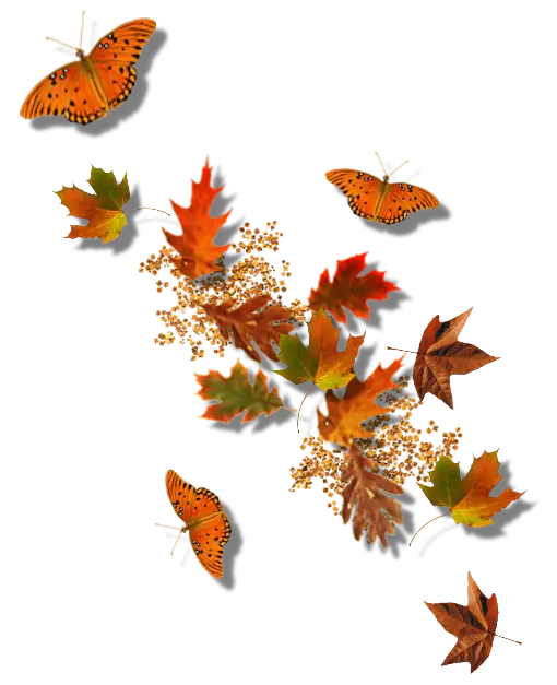 Autumn Leaves with Butterflies Seasonal Illustration