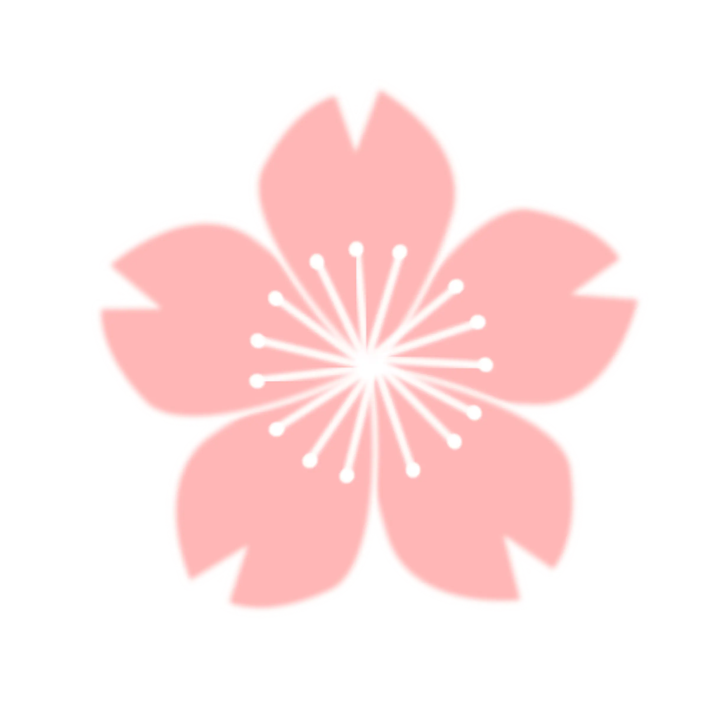 Pink Cherry Blossom Illustration
