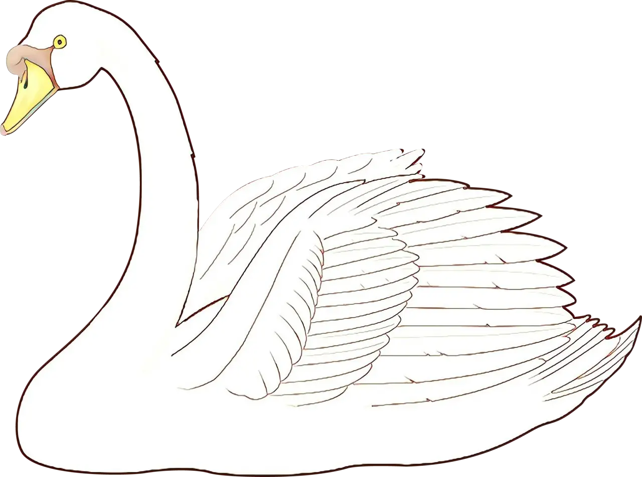 Elegant White Swan Illustration