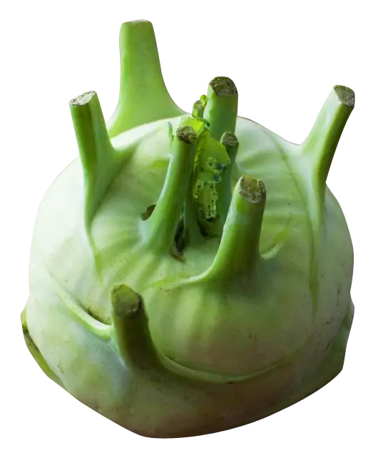 Fresh Green Kohlrabi