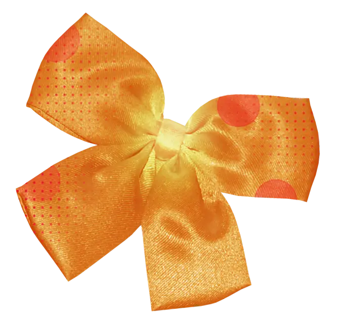 Decorative Orange Bow Ribbon
