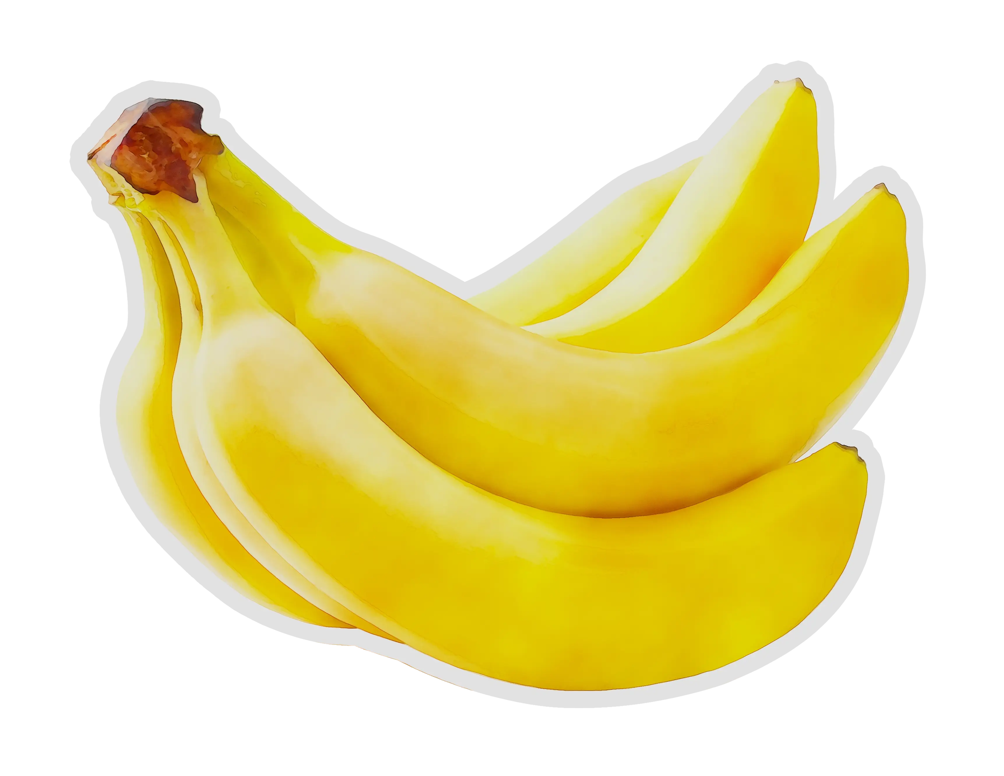 Illustration of a Bunch of Bananas