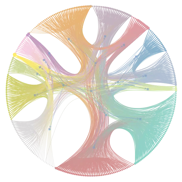 Colorful Circular Network Graph