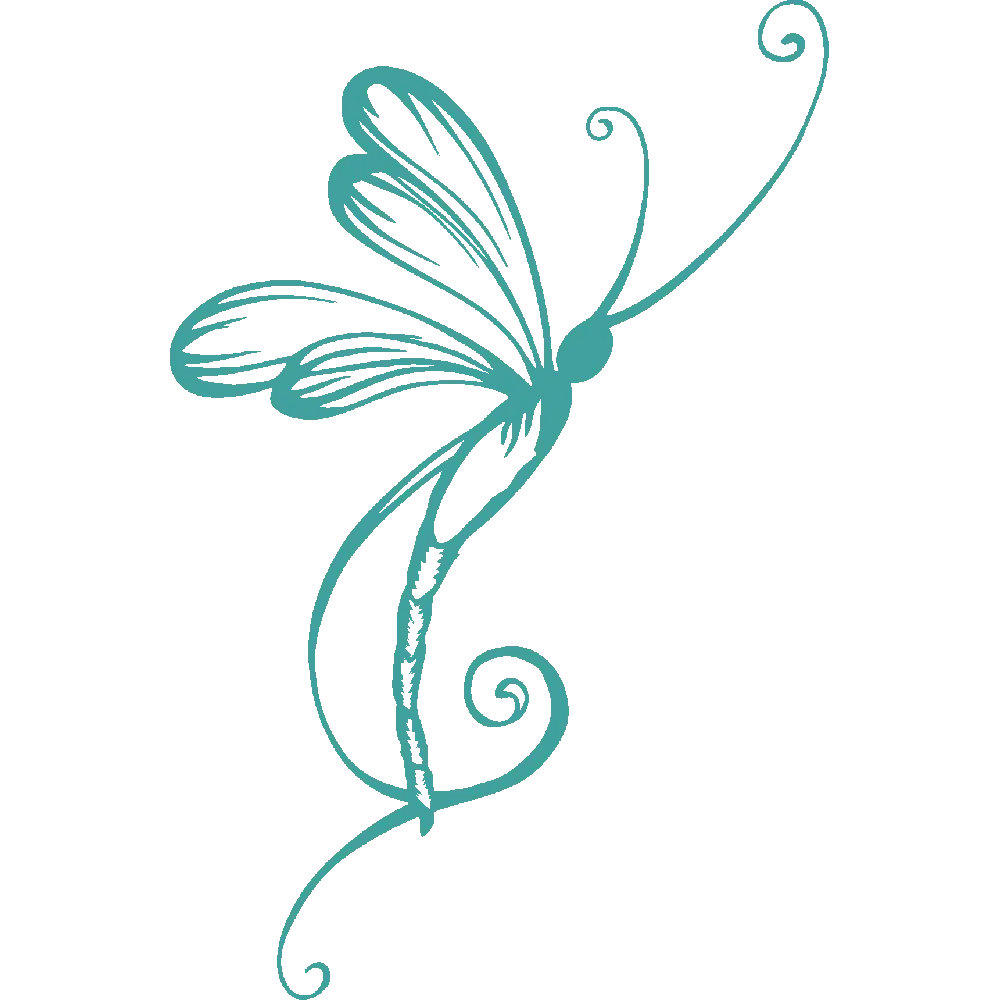 Elegant Blue Dragonfly