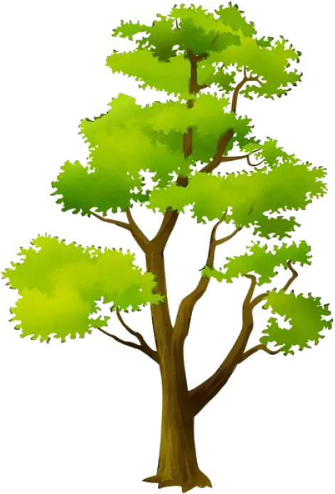 Lush Green Tree Illustration