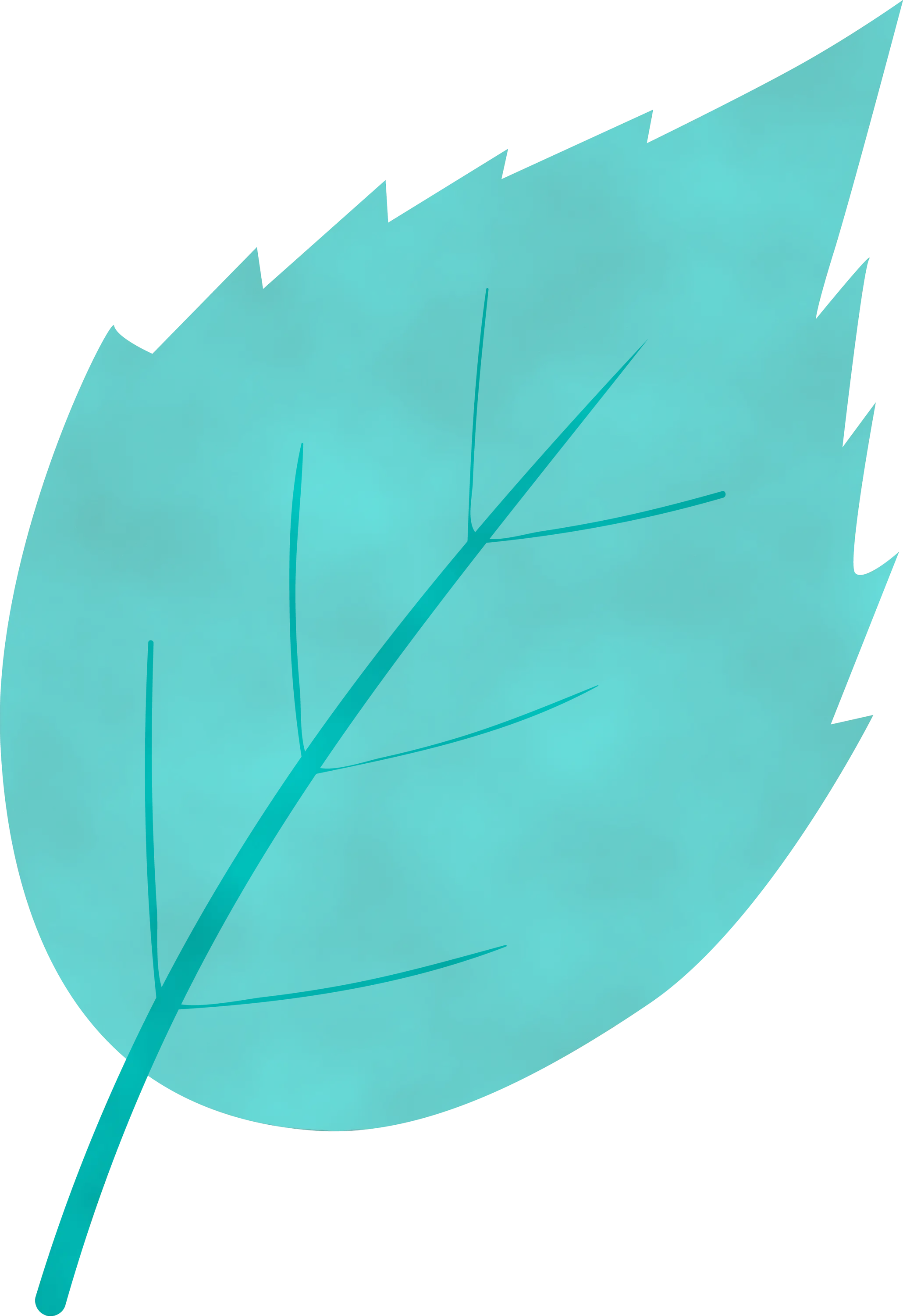 Blue Leaf Illustration