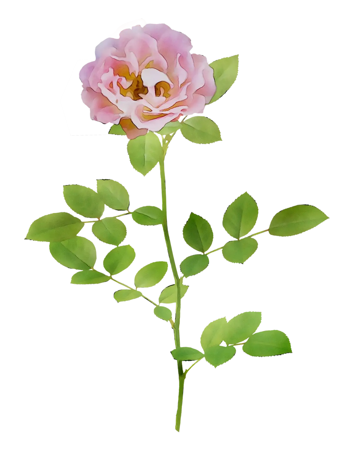 Pink Rose with Lush Green Leaves
