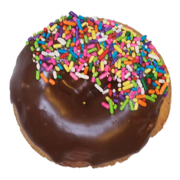 Chocolate Donut with Colorful Sprinkles