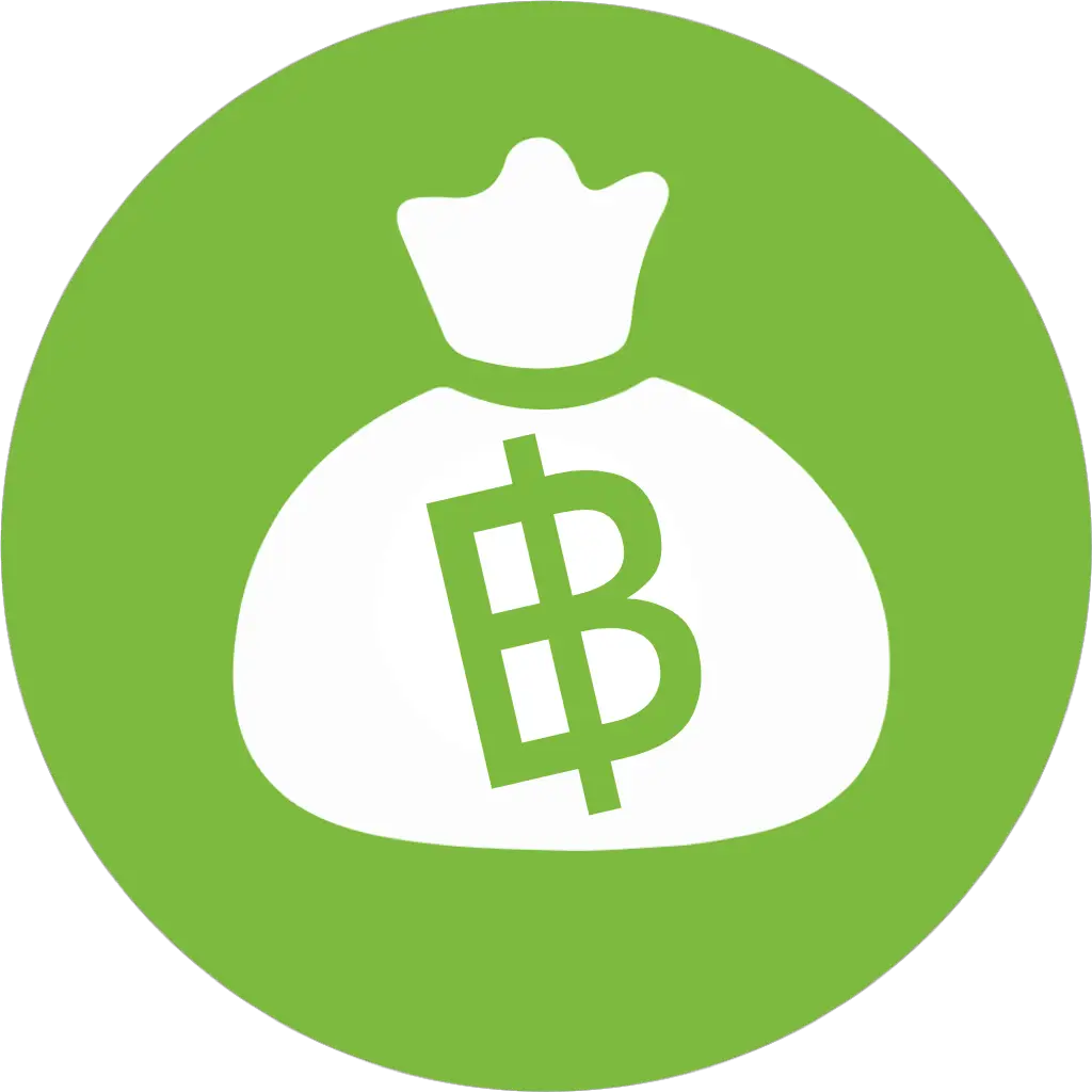 Green Bitcoin Bag Icon