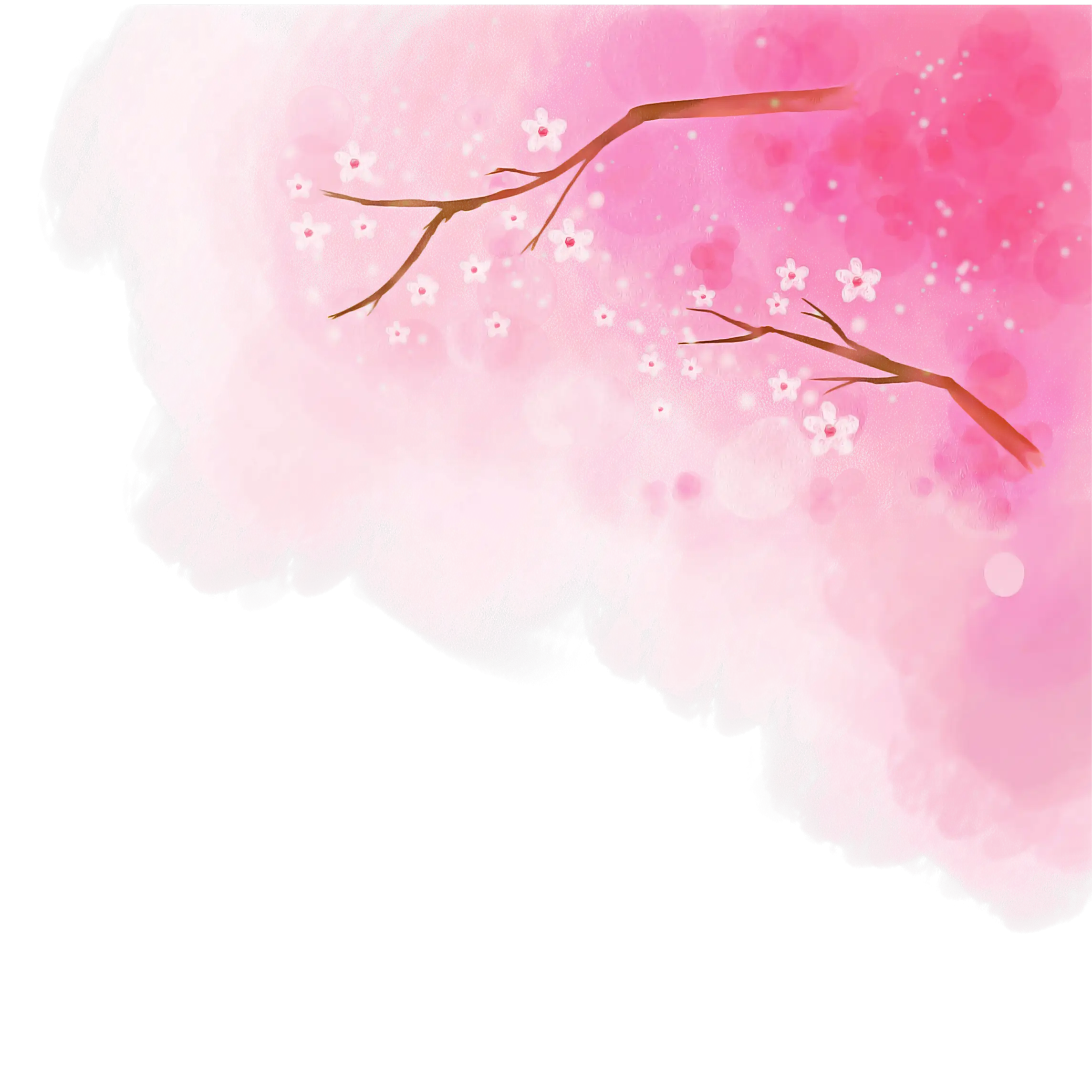 Soft Pink Cherry Blossom Background