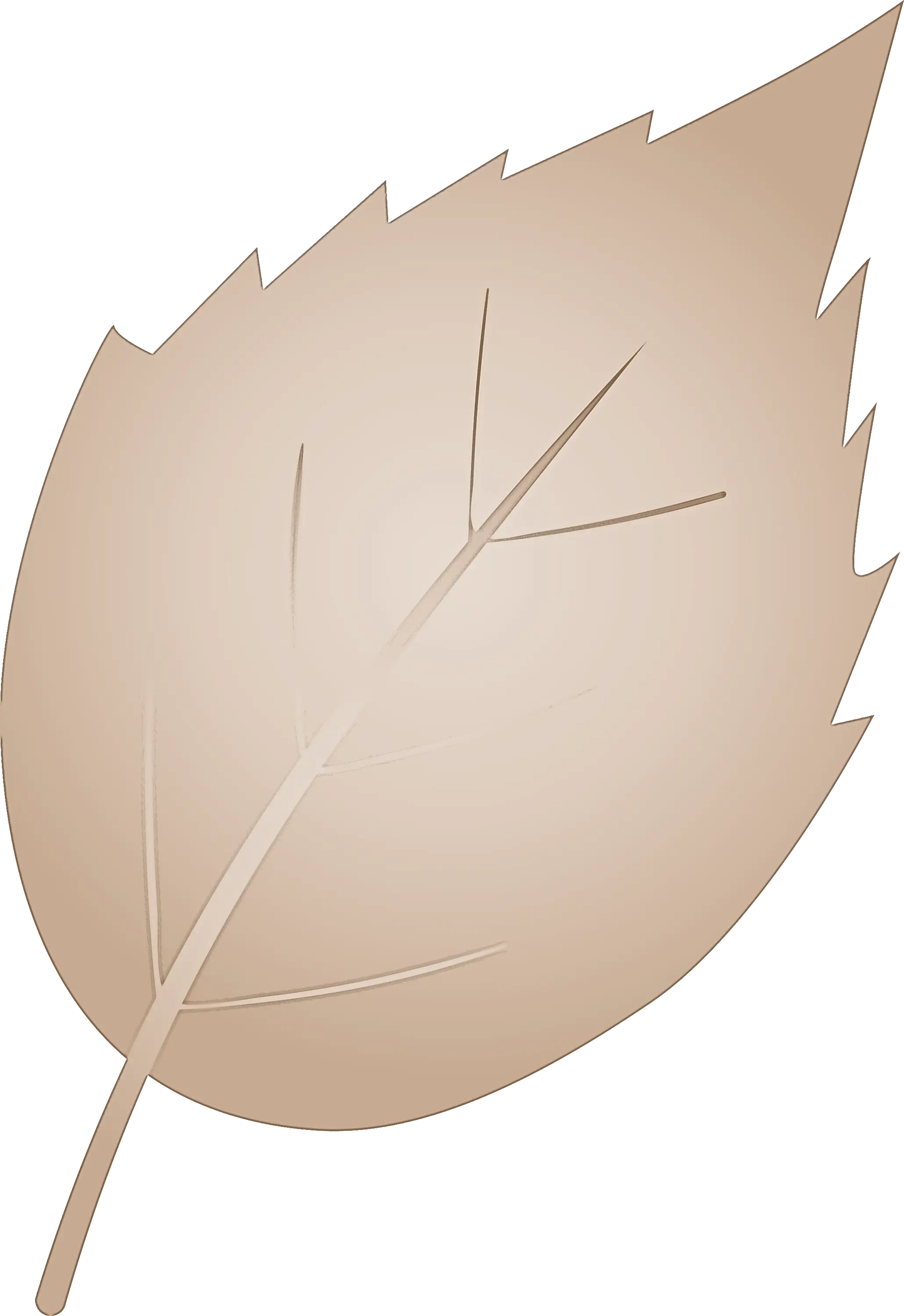 Beige Leaf Illustration